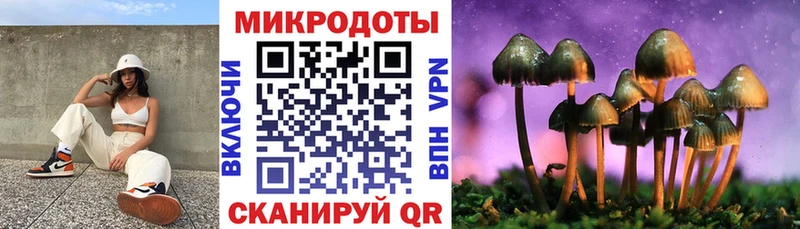 дарнет шоп  Бавлы  Псилоцибиновые грибы мухоморы 